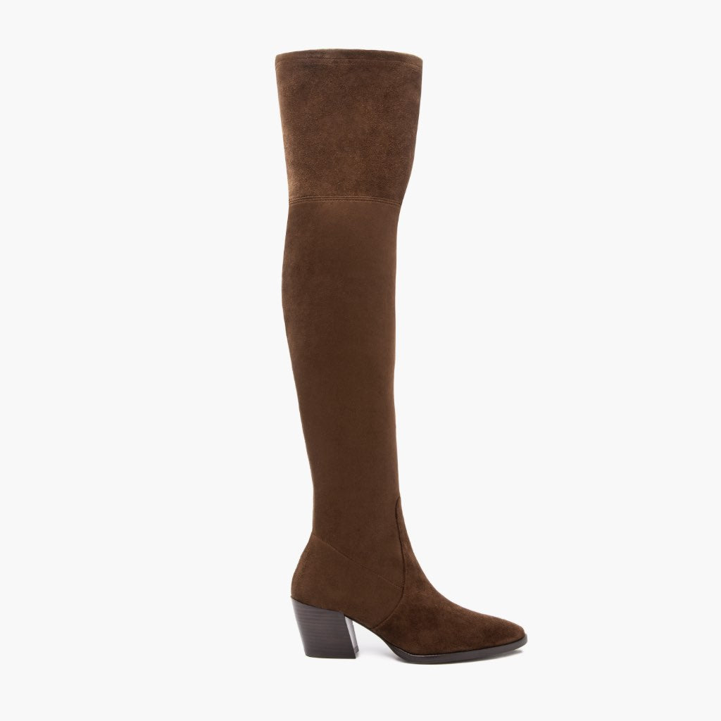 Tempest Espresso Leren laarzen voor Dames in Classic Full-Grain Leather - Zijaanzicht | Online kopen